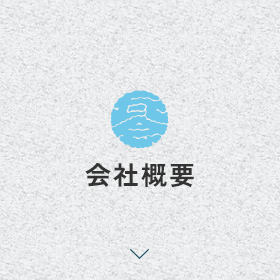 sp_bnrhalf_company